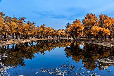 肉鸽卡牌构筑游戏《骰子浪游者》Demo上线 发售日期待定