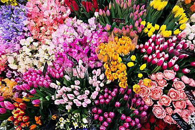 《黑神话》Steam收入8.8亿美元 平均游玩时间达27小时